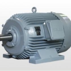 Zatvoreni, kavezni trofazni elektromotor